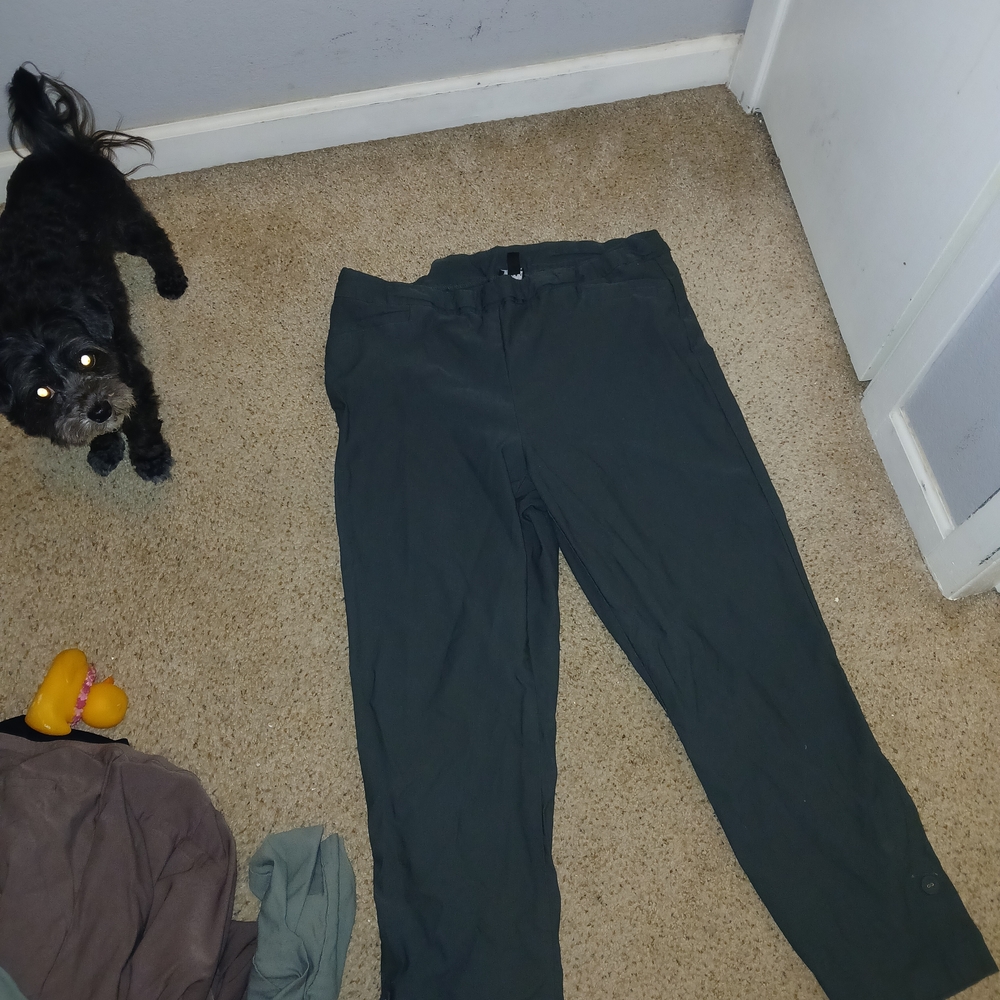 Tribal Woman's Chinos X 3, 1 Pair Lane Bryant.